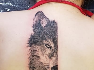 Poison Apple Tattoo Company