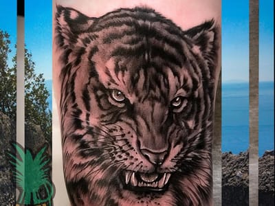 Precisely Veiled Tattoo