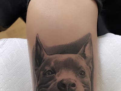 Premier Tattoo Studio