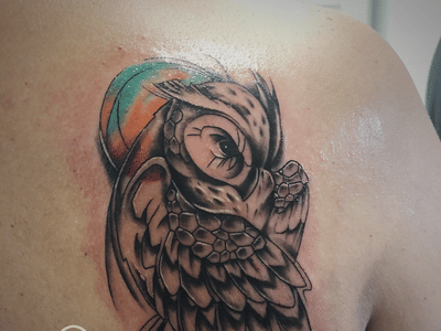 Primal Prodigy Collective