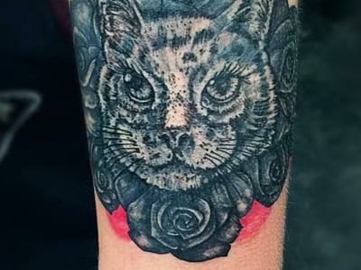 Puddytats House of Ink