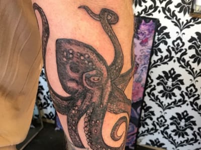 Puddytats House of Ink