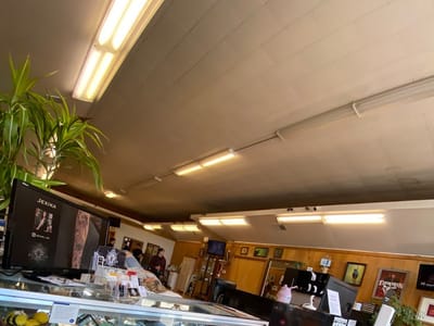 Queen Bee Tattoo & Salon