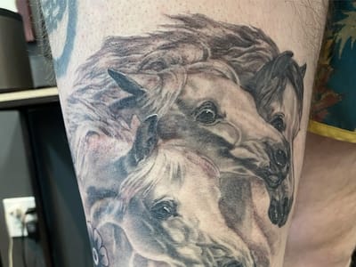 Quiet Coyote Tattoo