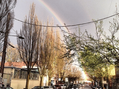 Rabid Hands Tattoo Studio