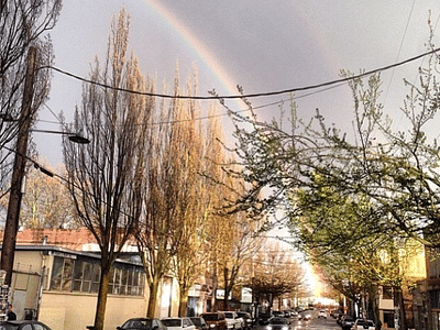 Rabid Hands Tattoo Studio