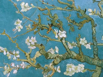 Rabid Hands Tattoo Studio