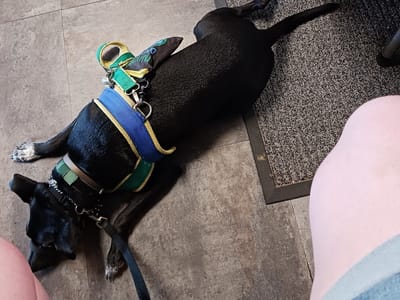 Reed Em & Weep Tattoos & Body