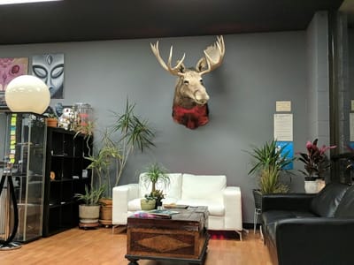 Revolution Ink Studio