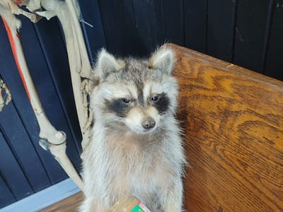 Riot Ink - Custom Tattoos