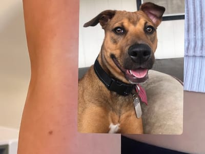 Riverside Tattoo Parlor