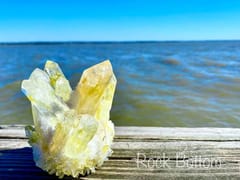 Rock Bottom Tattoo Studio and Treasures