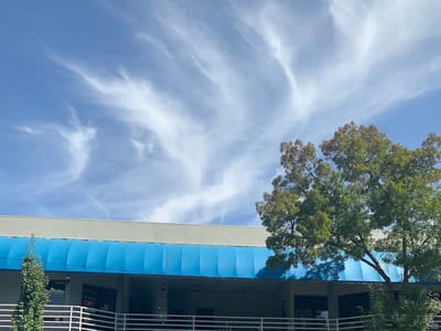 Sacred Art Tattoo LLC