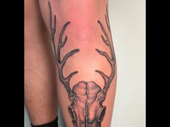 Sacred Raven Tattoo Shop