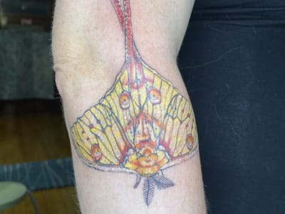 Sacred Vessel Tattoo