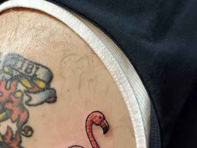 Sailor Jim's Electric Tattoo