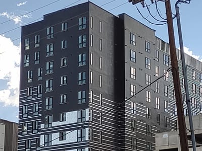 Sailor Taylor Tattoo