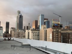 Sang Bleu Tattoo Los Angeles