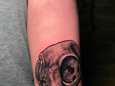 Santa Rosa Tattoo Studio