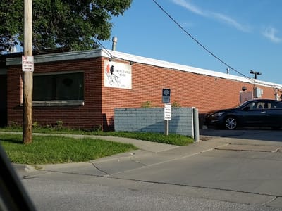 Scarlet Raven Tattoo