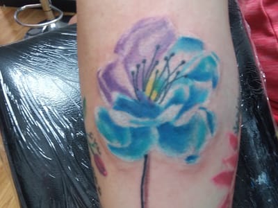 Screamers Tattoo & Body Piercing