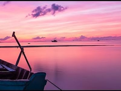 Sea Of Ink Tattoo & Piercing Studio