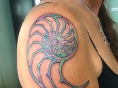 Sea of Light Tattoo Studio