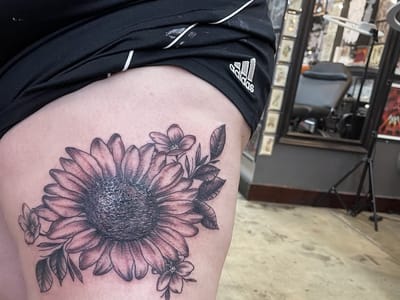 Self Inflicted Studios