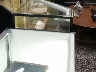 Seven Sagas Tattoo Studio