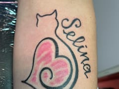 Shelton Tattoo Studio