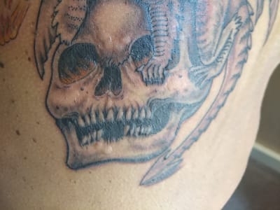 Shelton Tattoo Studio