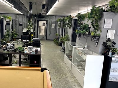 Sin in Skin Tattoo Collective