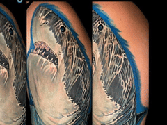 Sink or Swim Studio and Gallery