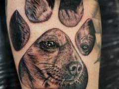 Skin Kings Tattoo Studio