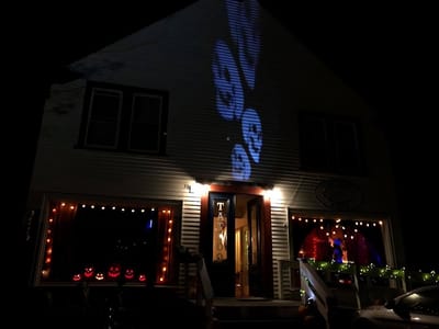 Skull and Snake Tattoo Studio Art Gallery