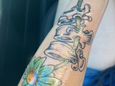 Spark Project Collective LLC