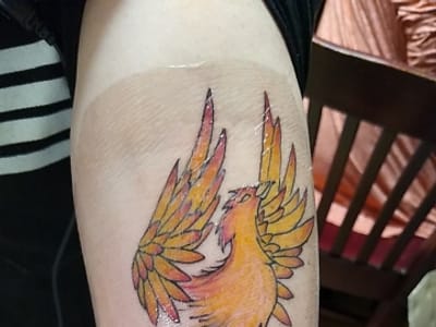 Spiders Twisted Art Tattoo Studio