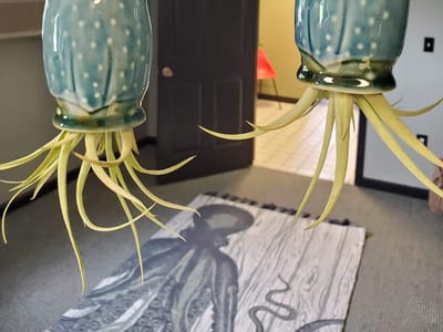 Squid Ink Tattoo Co.