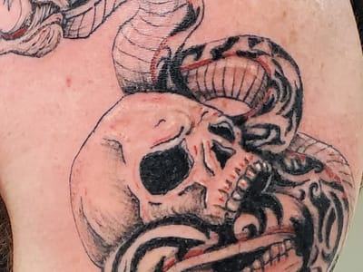 Starving Artist Studios