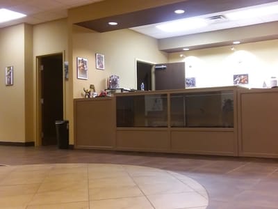 Stay Gold Tattoo Studio