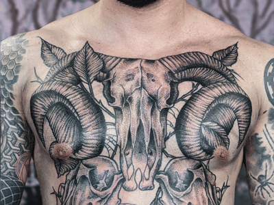 Steel and Ink Tattoo Studio