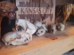 Steel Panther Tattoo