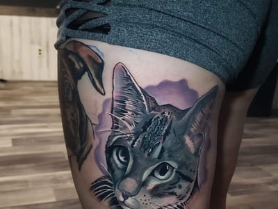 Steel Rhino Tattoo Studio