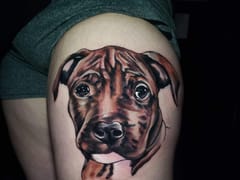 Steel Rhino Tattoo Studio