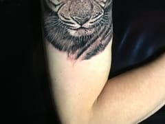 Stillwater Expressions