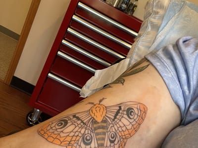 Stillwater Expressions