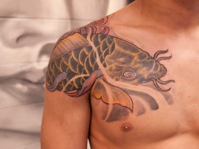 Stingray Tattoo chair supplier