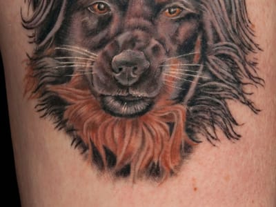 Stingray Tattoo chair supplier