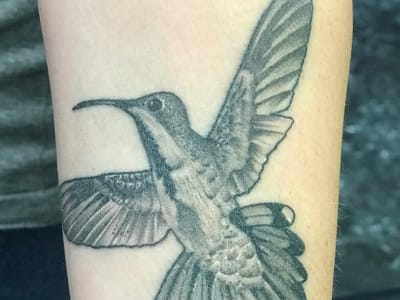 Straight Line Studios