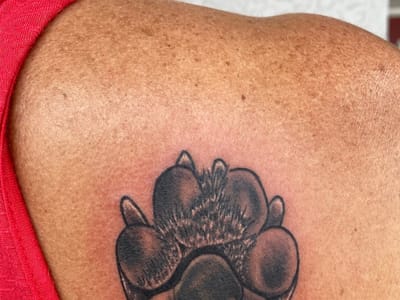 Studio Thirteen Tattoo Cocoa